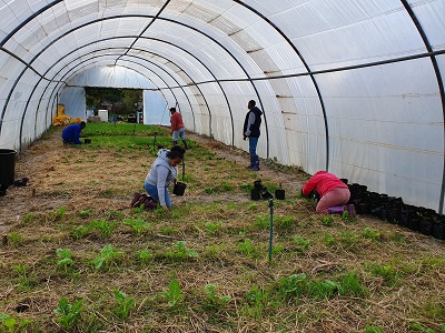 farm1